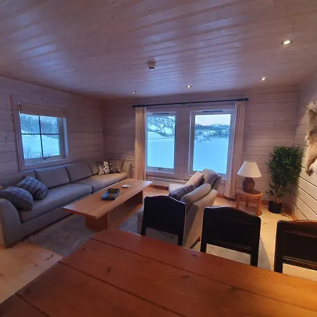 酒店 Multi Haukeli Botn (Telemark)